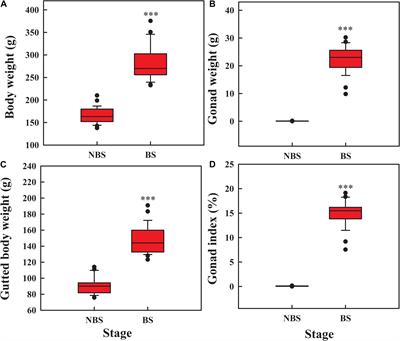 Plasticity of <mark class="highlighted">Respiratory Function</mark> Accommodates High Oxygen Demand in Breeding Sea Cucumbers